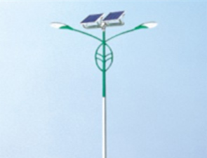 太陽能路燈TLD_25 太陽能路燈TLD_25